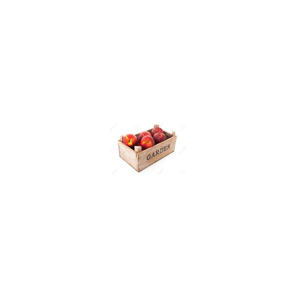70020_1