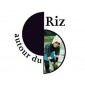 AUTOUR DU RIZ